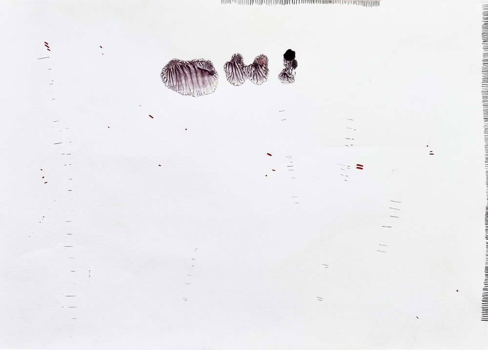 katja pudor_research_matera_momart gallery